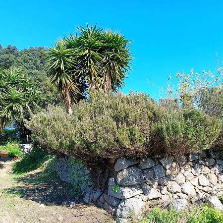 Vinha Do Gaio Villa Montes de Cima Ngoại thất bức ảnh