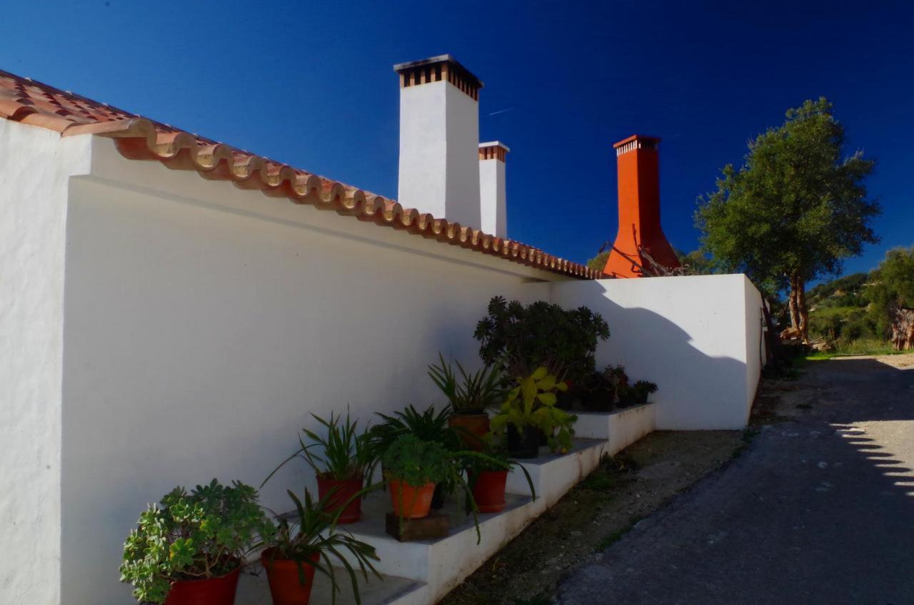 Vinha Do Gaio Villa Montes de Cima Ngoại thất bức ảnh