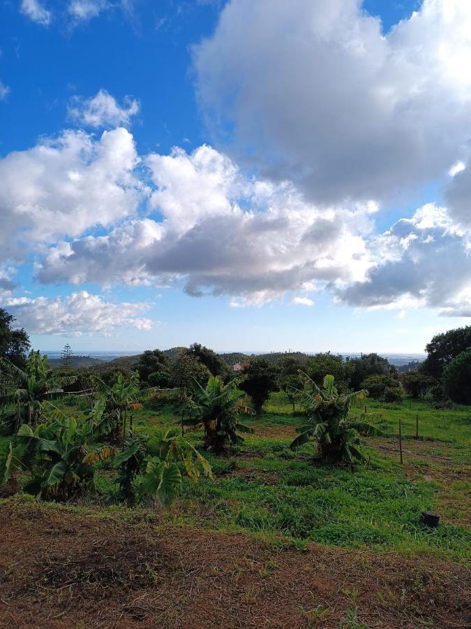 Vinha Do Gaio Villa Montes de Cima Ngoại thất bức ảnh