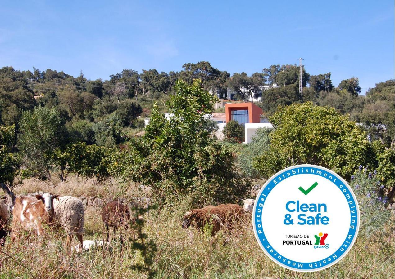 Vinha Do Gaio Villa Montes de Cima Ngoại thất bức ảnh